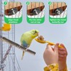 KIPTVO 4PCS Natural Wood Bird Perch, Budgie Perches, Parrot Perch,