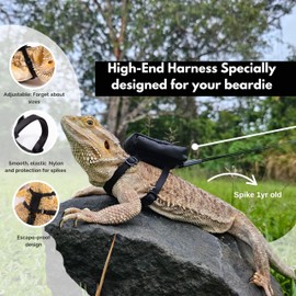 Scaly Pet Bearded Dragon Leash and Harness Set with Bearded Dragon Wings & Butterfly Wings, Comfortable Bearded Dragon Harness, Retractable Leash, Adjustable Escape-Proof Design for Reptile Lovers