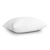 EDOW Throw Pillow Inserts, Set of 4 Lightweight Down Alternative