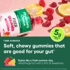 Fiber Gummies for Digestive Support & Daily Wellness – Raspberry