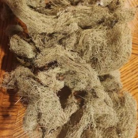 100% Pure Usnea Linchen ( Old mans beard) 1 OZ