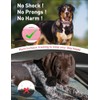 No Shock Dog Training Collar, Beep and Vibrating Dog Collar