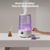 BPA-Free 3.6L Cool Mist Ultrasonic Humidifier with Night Light &