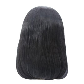 Fahgaer 10 Inches Front Lace Wig Closure Wigs Sleek - Wigs for Women Straight -Brazilian Hair Wigs