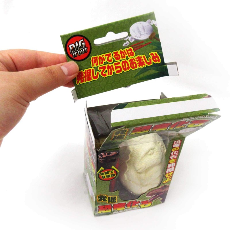 Dinosaur Fossil 206-631