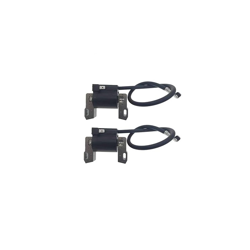 MACHSWON 2PCS Car Engine Ignition Coil Module 691060 799651 For