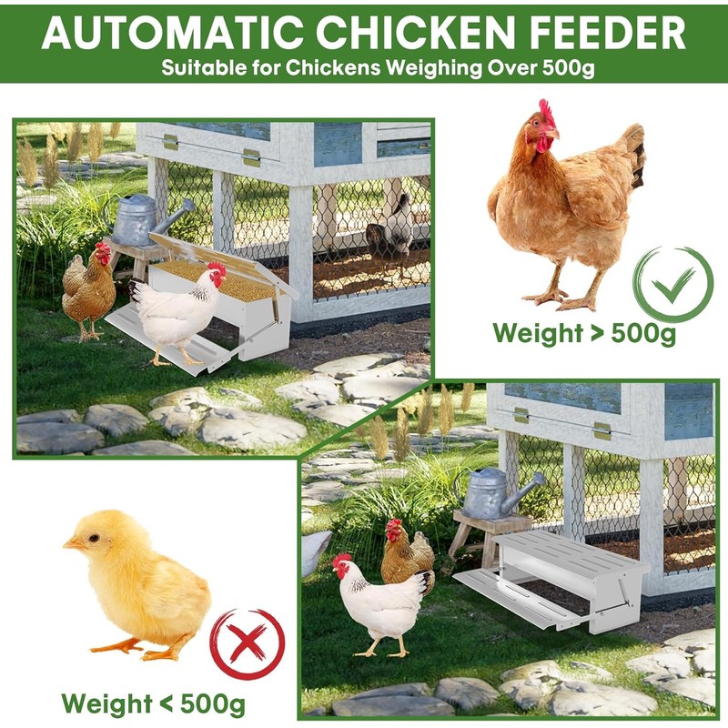 Stainless Steel Automatic Chicken Feeder, Treadle Chicken Feeder with Weatherproof