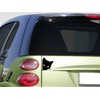 Black Peeking Cat Sticker 6" Decal tp184 For Car Bumper