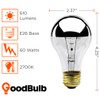 GoodBulb 60 Watt Incandescent Half Chrome Bulb A19 Shape, E26