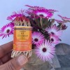 Lamatar1 Handmade In Nepal Natural Lumbini Rope Incense Set Of