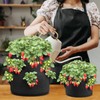 iPower 4-Pack 10 Gallon Strawberry Grow Bags, Vegetables Pots with