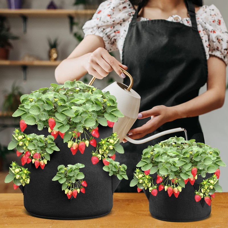 iPower 4-Pack 10 Gallon Strawberry Grow Bags, Vegetables Pots with