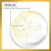 Agua Micelar Garnier Desmaquillante 100ml