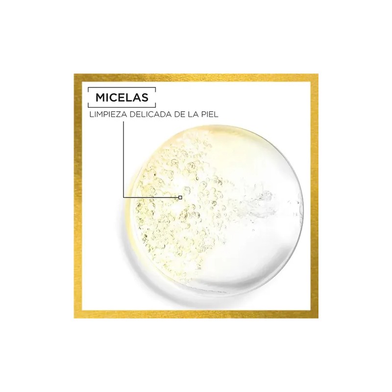 Agua Micelar Garnier Desmaquillante 100ml
