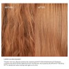 Olaplex The Mini Essentials Set