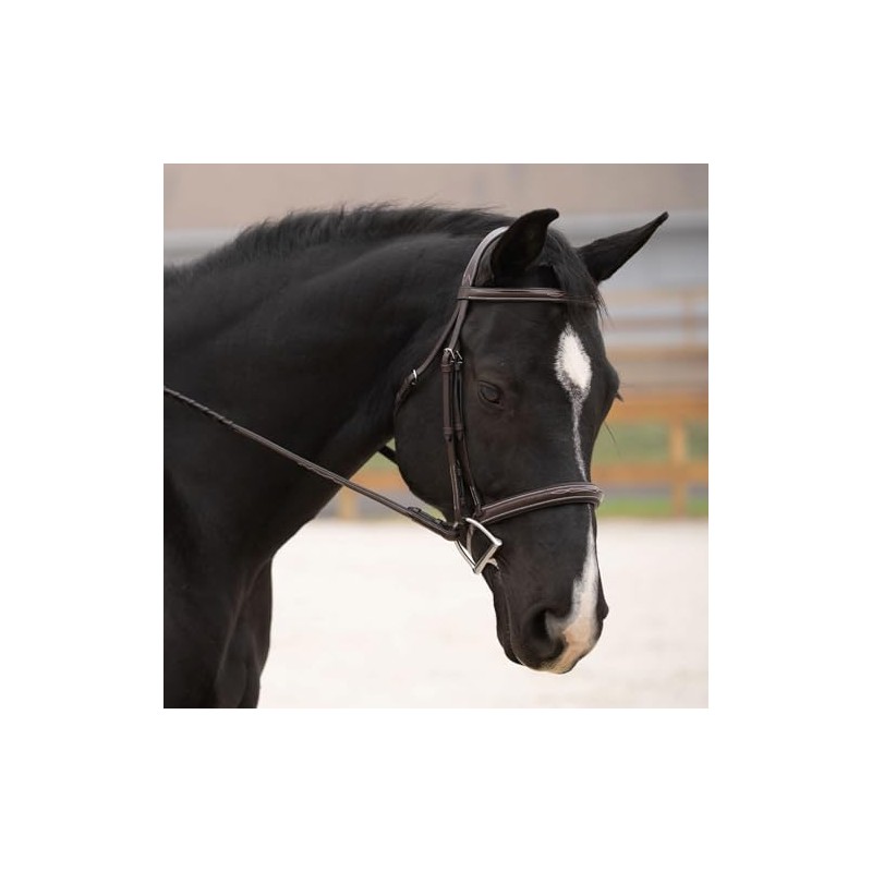 KL Select Black Oak Cyprus Hunter Bridle Horse (Cob)