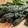 Viridis Hortus - Nero Di Toscana Borecole Curly Kale 750