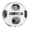 Derbystar Brillant TT v25