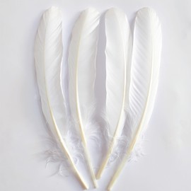 GOODIY Natural Long Feathers 22Pcs 8-10 inches（20-25cm）Beautiful Natural White Goose Feathers Bilateral Large Feathers Decorative Feathers for Clothing, Hats, Wings, Handmade DIY (White goose-8-10in)