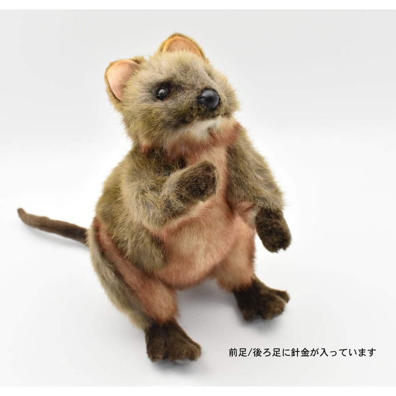 BH7362 HANSA クアッカワラビー ２２