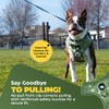 No Pull Dog Harness for Small Dogs, Breathable, Reflective &