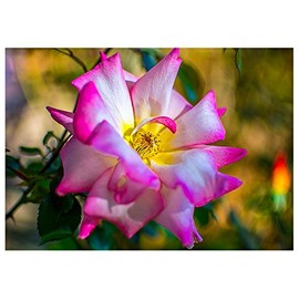 Will Davis Studios Mother's Day Fine Art Greeting Card (Inside Reads: Happy Mother's Day!)