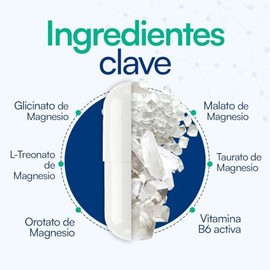 Paquete de 6 Frascos Magnesio Ultra VidaLabs 60 Capsulas por Frasco Contiene 5 Tipos de Magnesio de Amplio Espectro Calidad Premium + Vitamina B6.