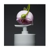 Emissary.73 Enriching Cream Shampoo