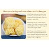 White Snow Fungus Mushroom Rootless Dried Snow Fungus Tremella Fuciformis