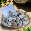 BellaMira Crazy Lace Agate Crystal, Single Polished Stone, Healing Crystal
