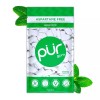 PUR Gum Aspartame Free Chewing Gum 100% Xylitol Natural Spearmint