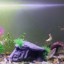 PENGYETHTY Goldfish, Aquarium, Hideaway, Aquarium, Tunnel, Aquarium, Object, Fish, Tropical Fish, Medallion, Loach, Hideaway, Aquarium Object, Resin, Simulates the Shape of a Cave