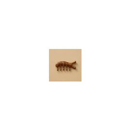 Ecladu (정상가:29,000)에끌라두 BEST 골든 샌달우드 빗괄사(페이스&두피 림프순환 마사지 툴) Ecladu BEST Golden Sandalwood Gua Sha (Face & Scalp Lymph Circulation Massage Tool)