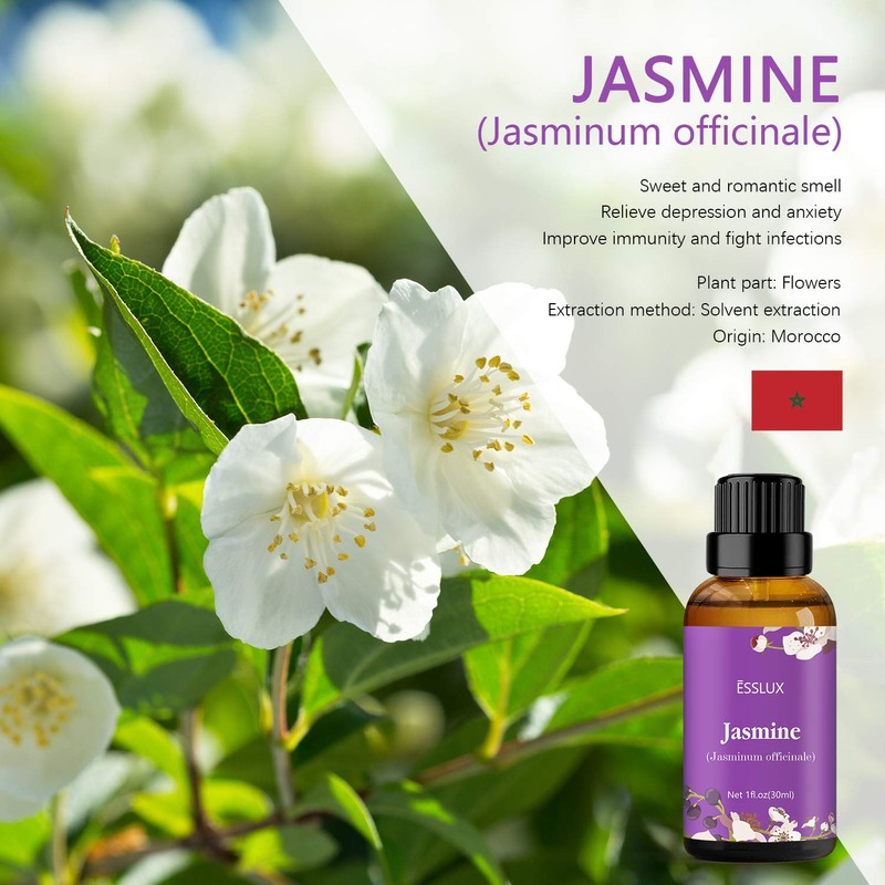 Jasmine Essential Oil, Esslux Aromatherapy Oils for Diffuser, Massage, Soap,
