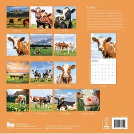 2026 Cows Wall Calendar 12 Month | 12" x 24" Open | Giftable | Nature Calendar 2026 | Thick & Sturdy Paper for Calendar Organizing & Planning | Pacific Waters Press (Cows)