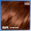 Clairol Lasting Colour Permanent Hair Dye | Perfect Grey Coverage