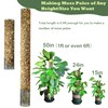 Moss Pole DIY Kit, 6.6/13.2/26.4ft Metal Moss Pole for Plants