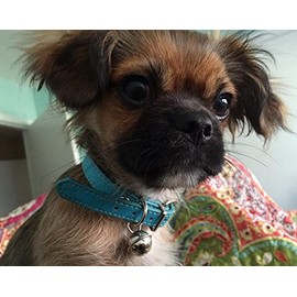 Turquoise Blue Leather Pet Collars for Cats Puppy, Adjustable 8"-10.5" Kitten Collar with Bell