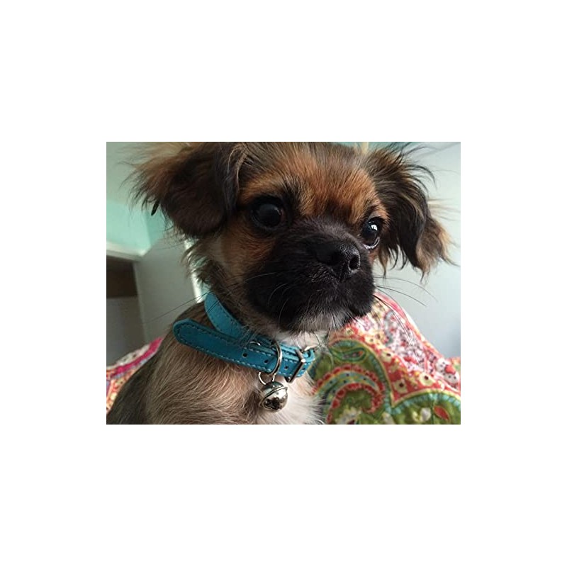 Turquoise Blue Leather Pet Collars for Cats Puppy, Adjustable 8"-10.5"