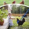 Chicken Harness and Leash, Modified Adjustable Breathable Harness Specially Designed
