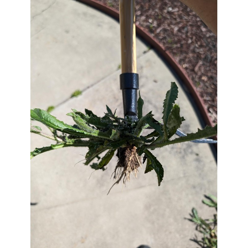 Edward Tools PullPro Long Handle Weed Puller Tool - 48"