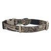 Browning Classic Preformance Webbing Pet Collar, Fully Adjustable, Available in