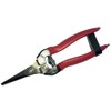 Riegolux 302172 Tomato Scissors