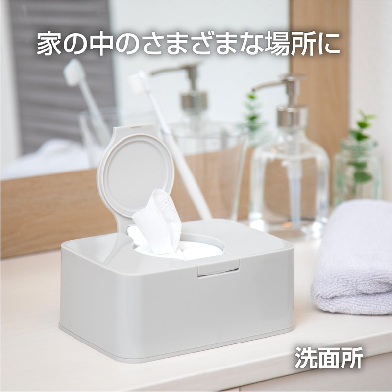 Fresh Rock Wipes Case, Set of 2, White