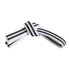 Mastery Little Dragons (White belt/double Black stripe, 0)