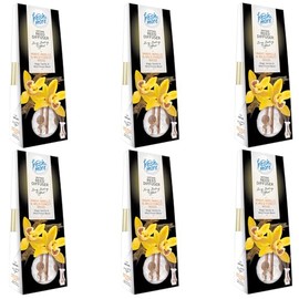 fresh& more Lufterfrischer Duftvasen 35 ml 6er Pack (Magic Vanille&Wild Forest Wood)