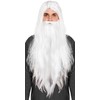 Wizard Wig & Beard Long White Hair Adults Fancy Dress