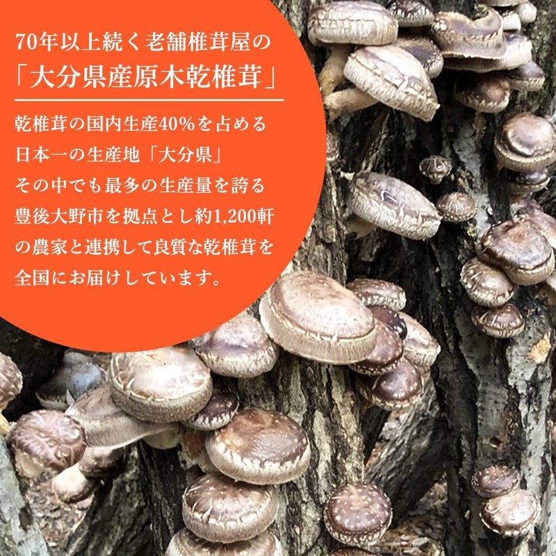 Mori Shoten Oita Prefecture Fragrant UMAMI Shiitake Mushroom Powder, 1.8