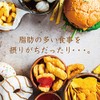 リッチパウダー 国内加工品 難消化性デキストリン 食物繊維 無添加【水溶性/溶けやすい】500g