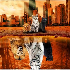 Jigsaw Puzzles 1000 Pieces Puzzles for Adults, Cat Tiger Puzzle Animal Adult Toys, 27x20 Unique Difficult and Challenge Large Puzzle Game Toys Gift